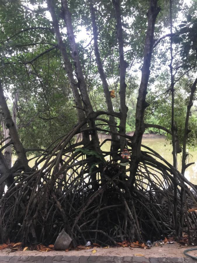 Baan Bon Resort Bang Tabun 佛丕 外观 照片